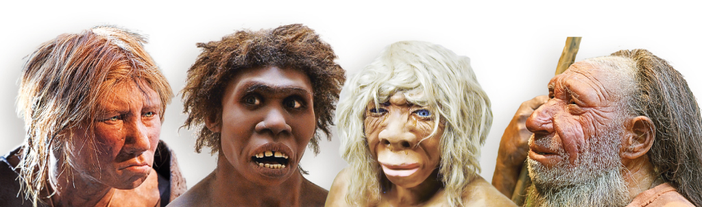 Miltä neandertalilaiset näyttivät? - Katternö Digital 1 | 2016